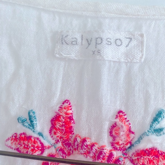 Kalypso Embroidered Tunic Top - Picture 4 of 5
